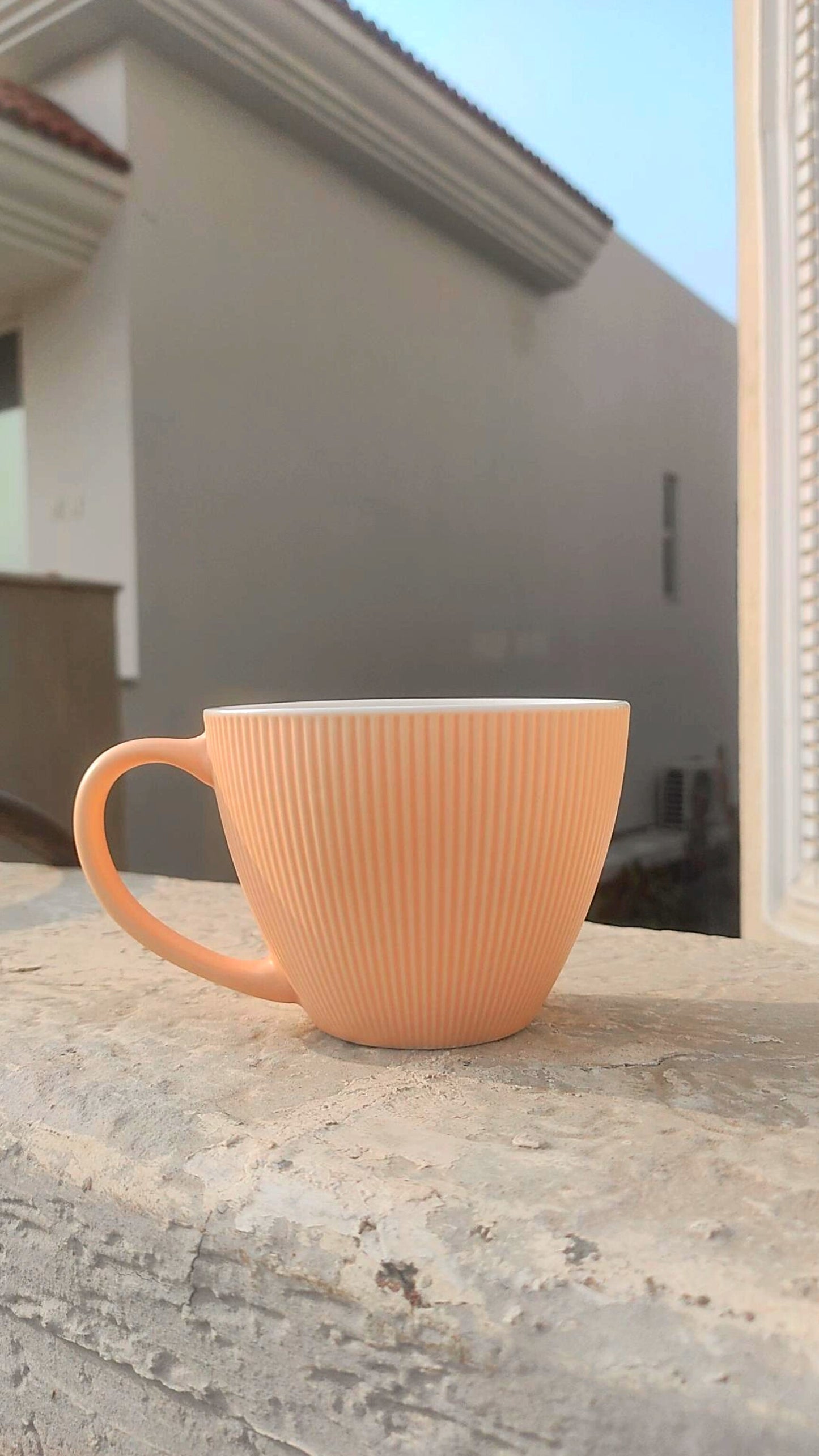 Peach Bliss - Premium Ceramic Mug